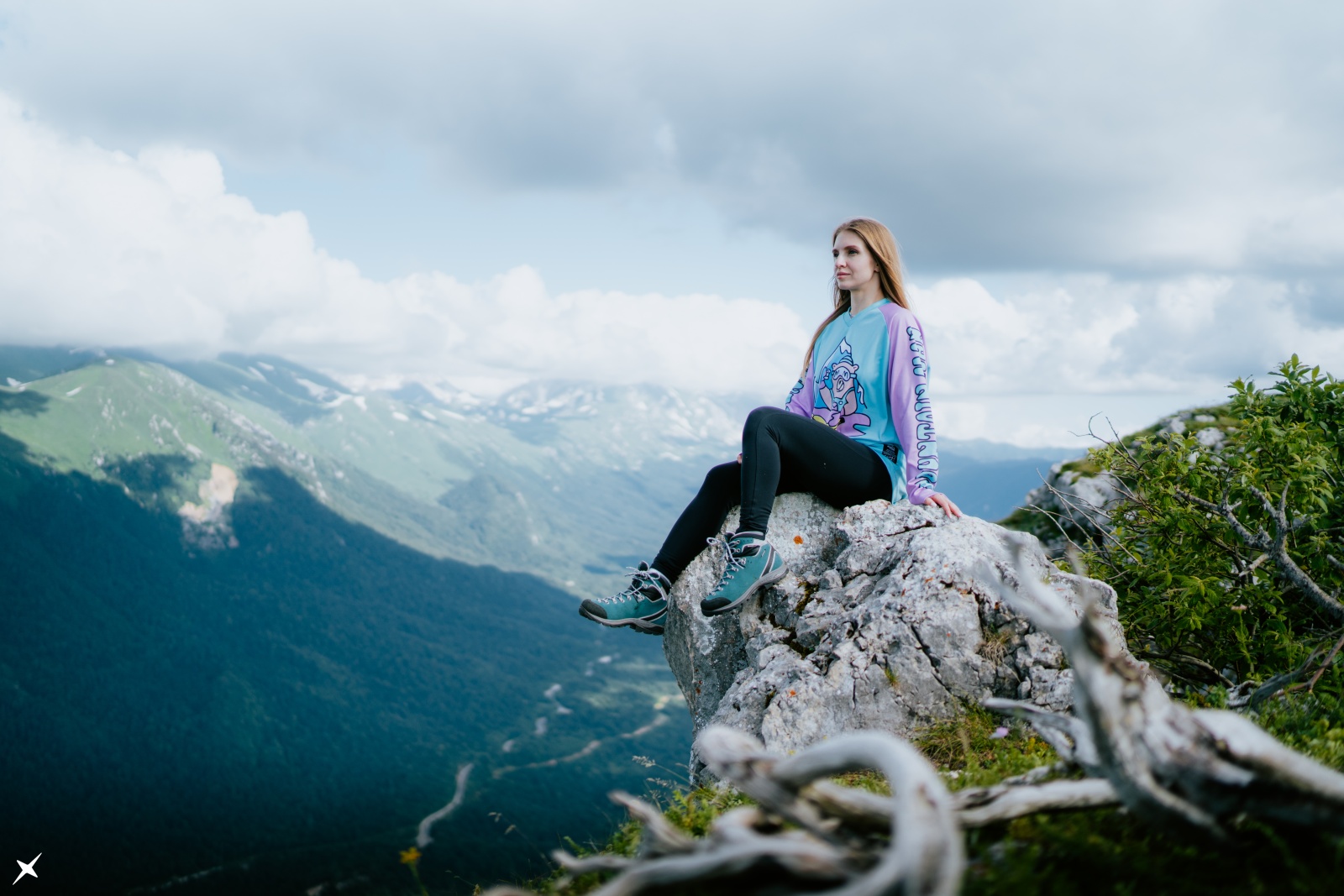 Черногор -549